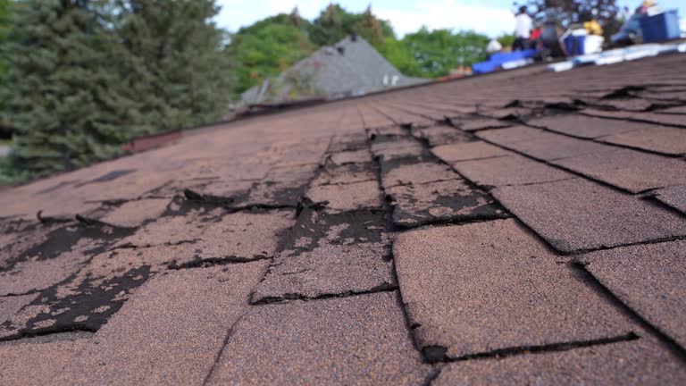 Best Roof Coating and Sealing  in Mission Hills, CA